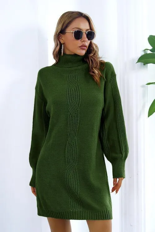 Autumn Beauty Turtleneck Sweater Dress