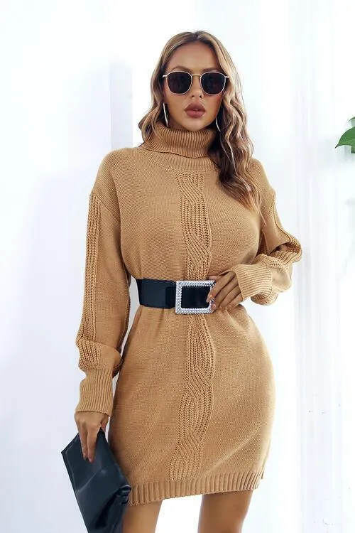 Autumn Beauty Turtleneck Sweater Dress