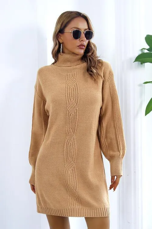 Autumn Beauty Turtleneck Sweater Dress
