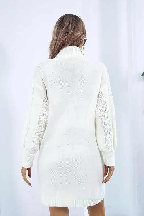 Autumn Beauty Turtleneck Sweater Dress