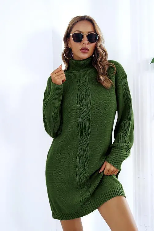 Autumn Beauty Turtleneck Sweater Dress