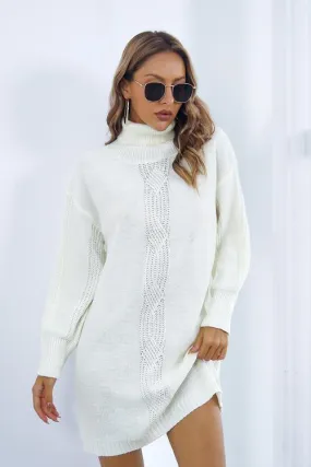 Autumn Beauty Turtleneck Sweater Dress