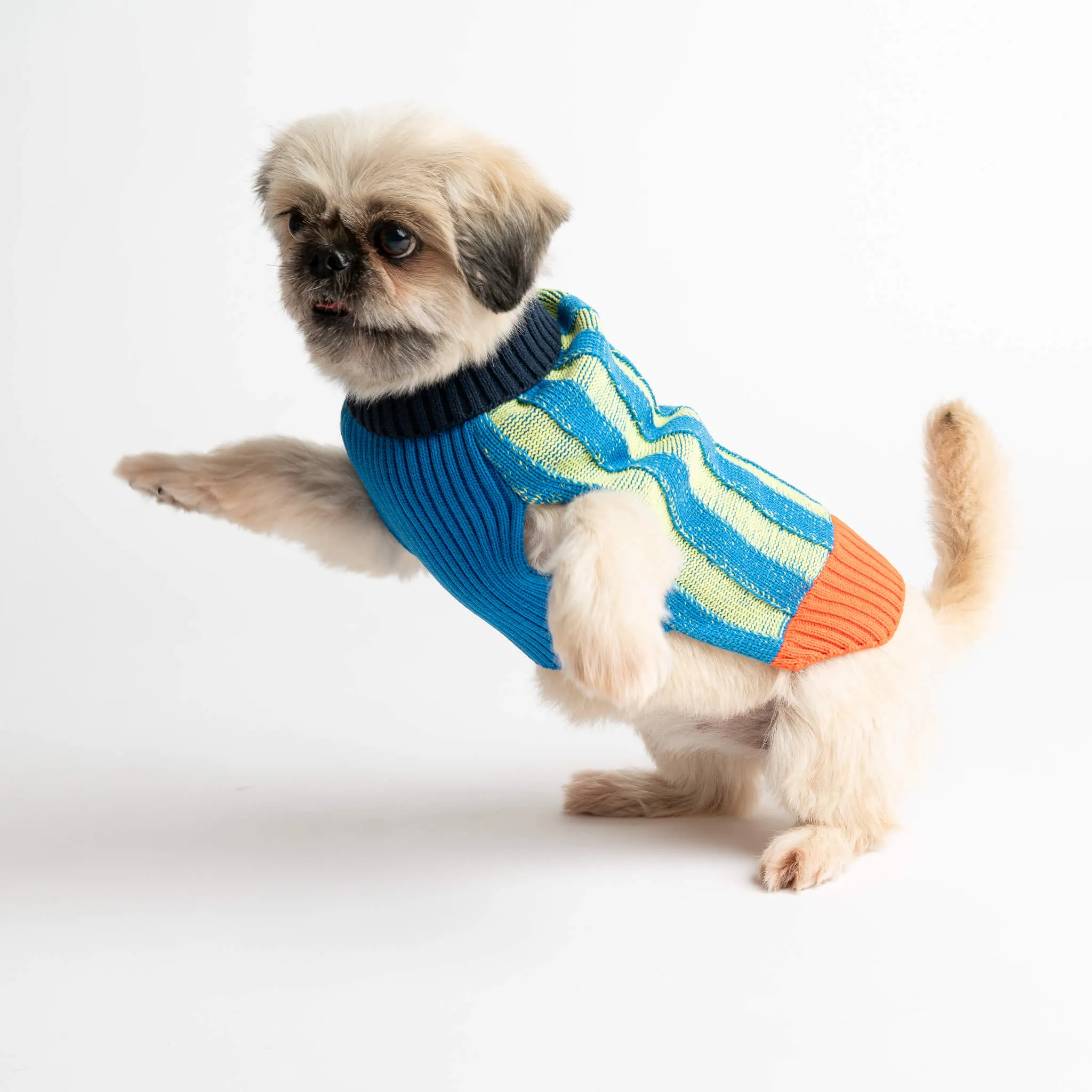 Big Stripe Dog Sweater
