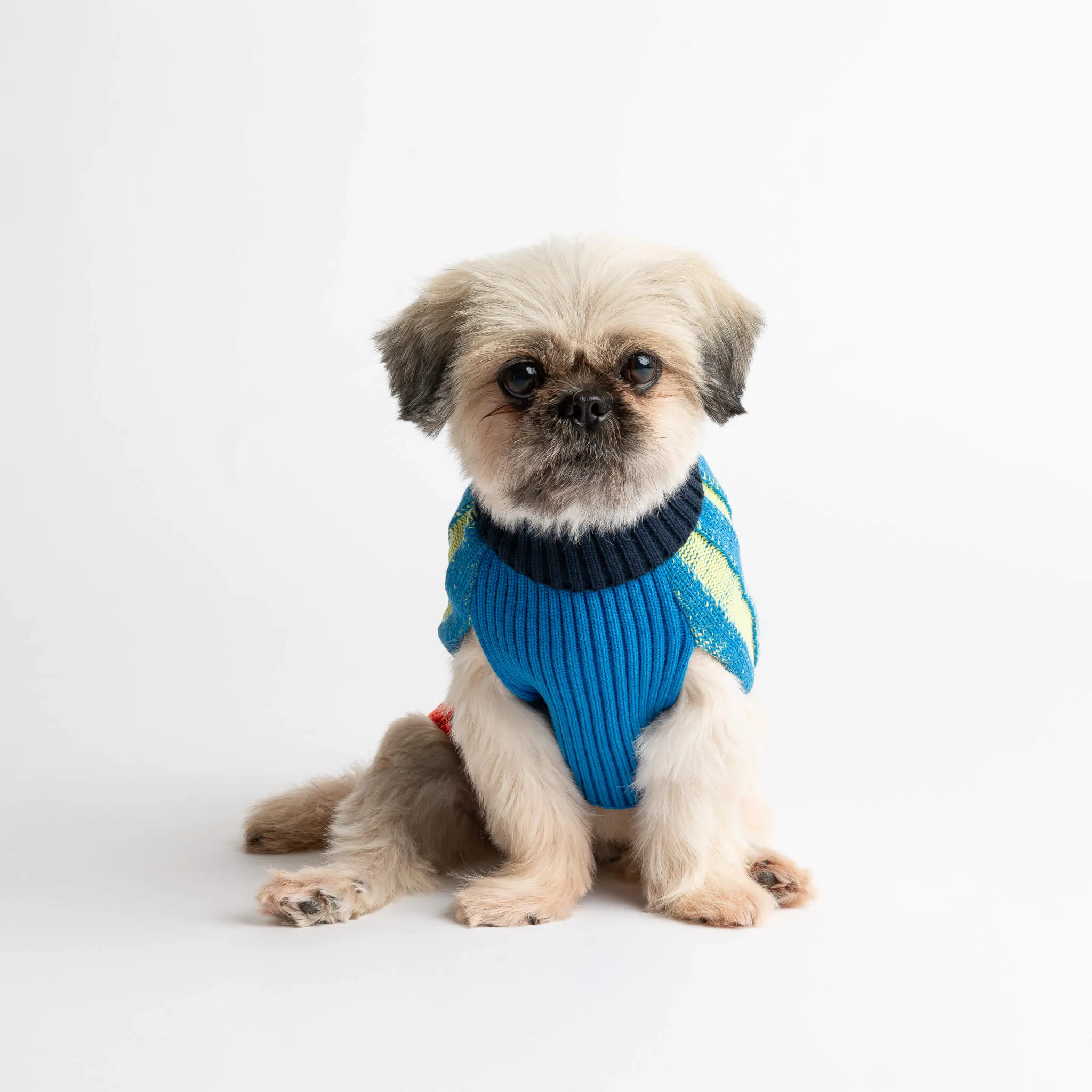 Big Stripe Dog Sweater