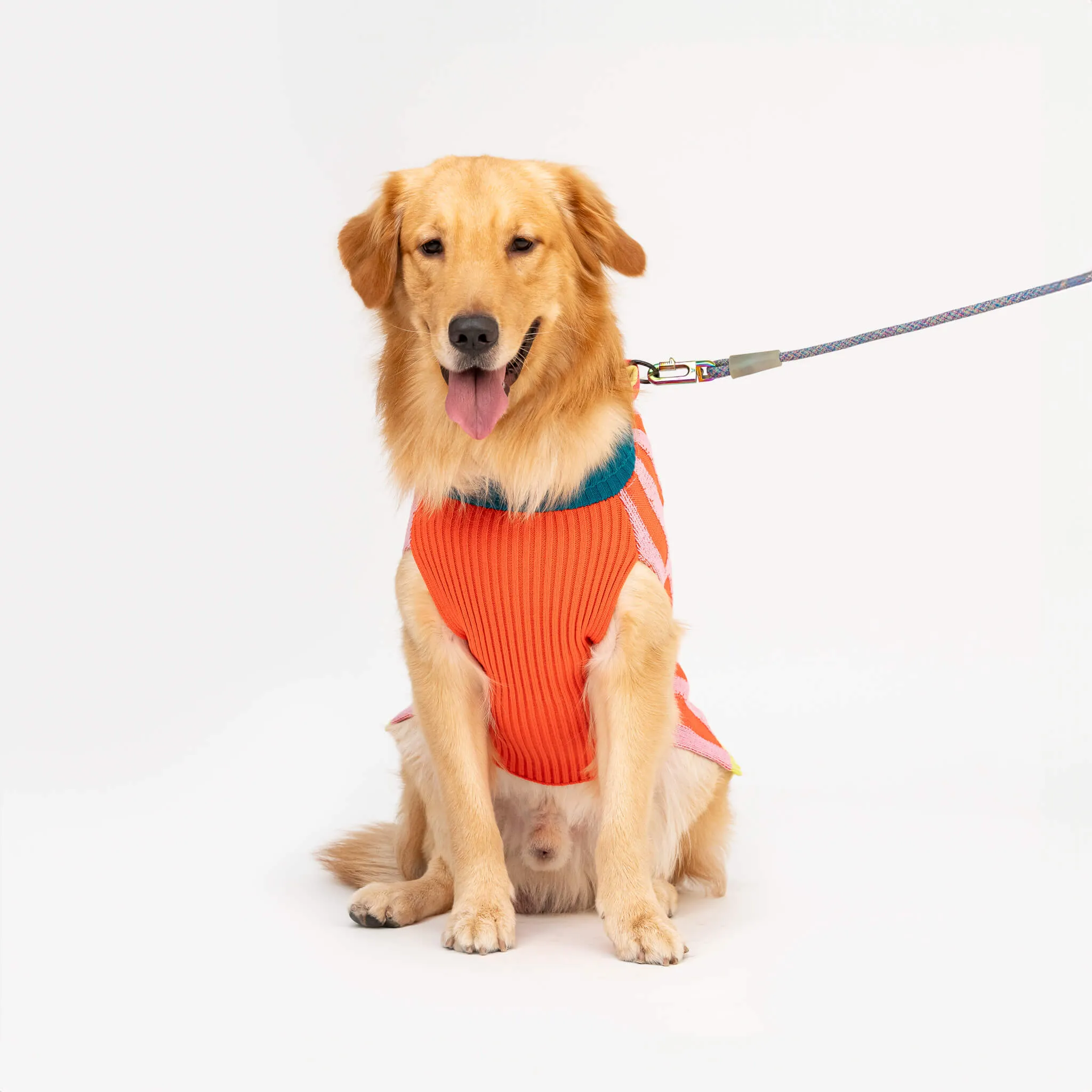 Big Stripe Dog Sweater