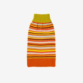 Circus Stripe Dog Sweater