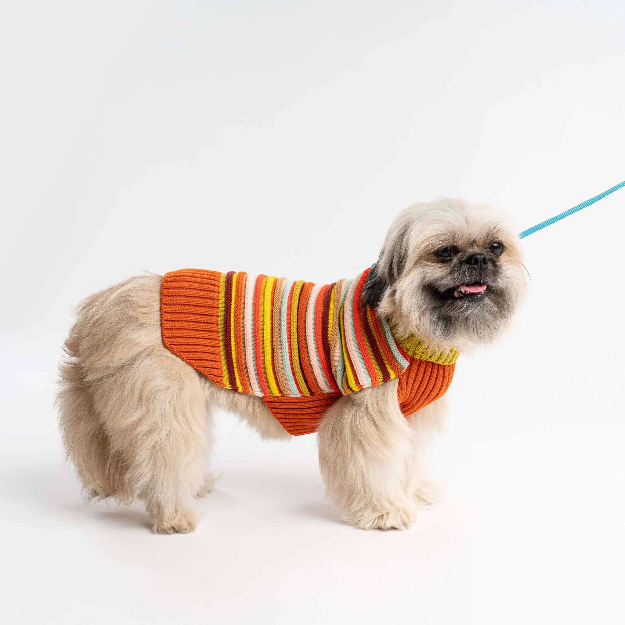 Circus Stripe Dog Sweater