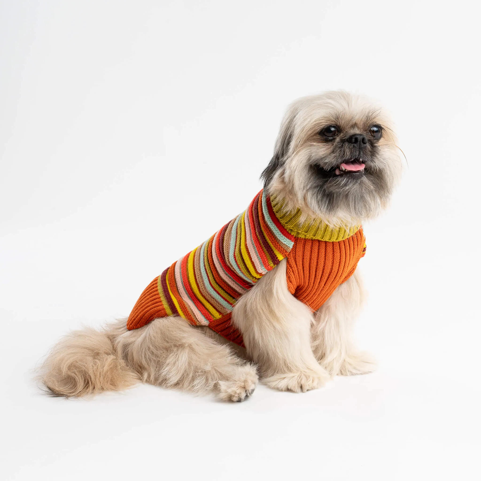 Circus Stripe Dog Sweater