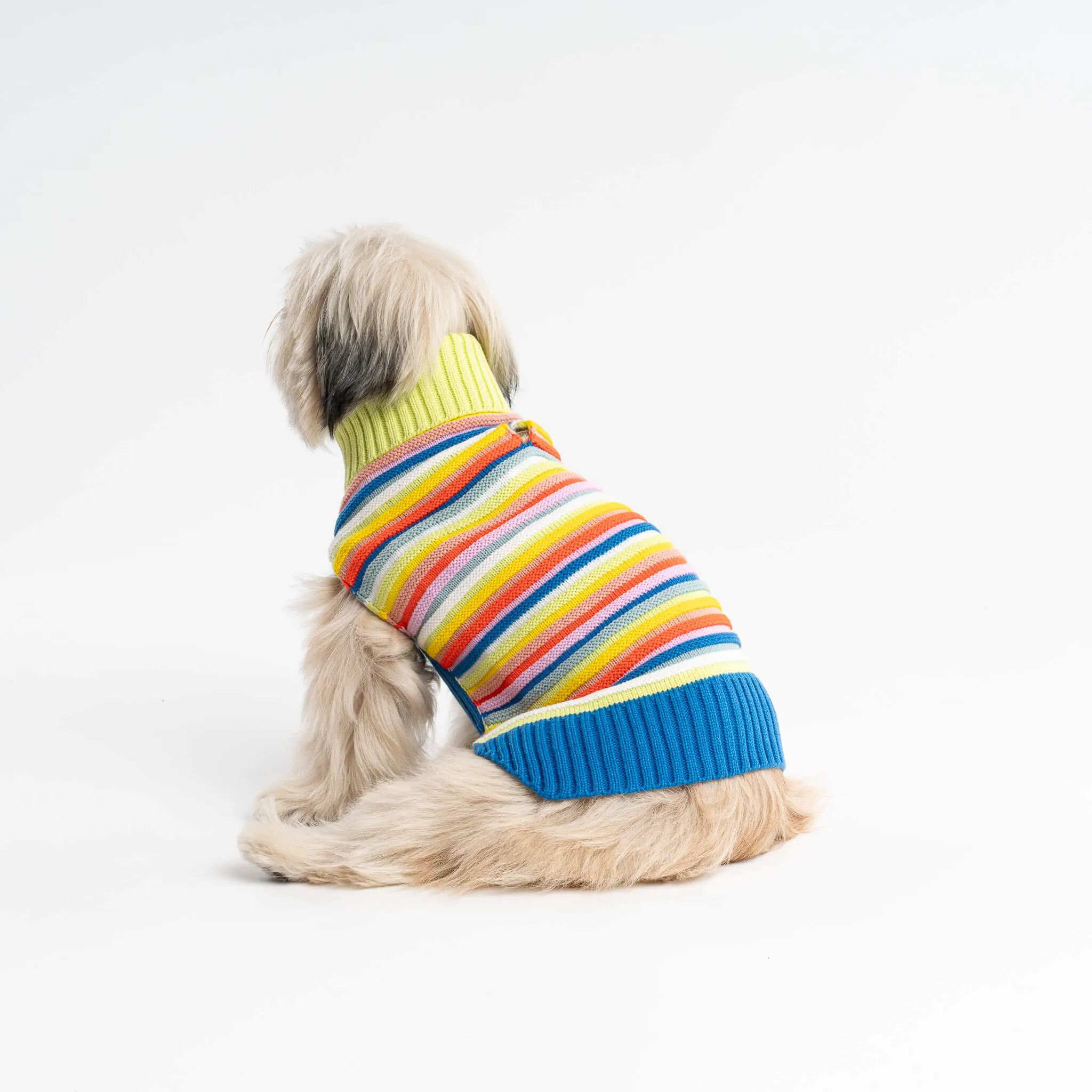 Circus Stripe Dog Sweater