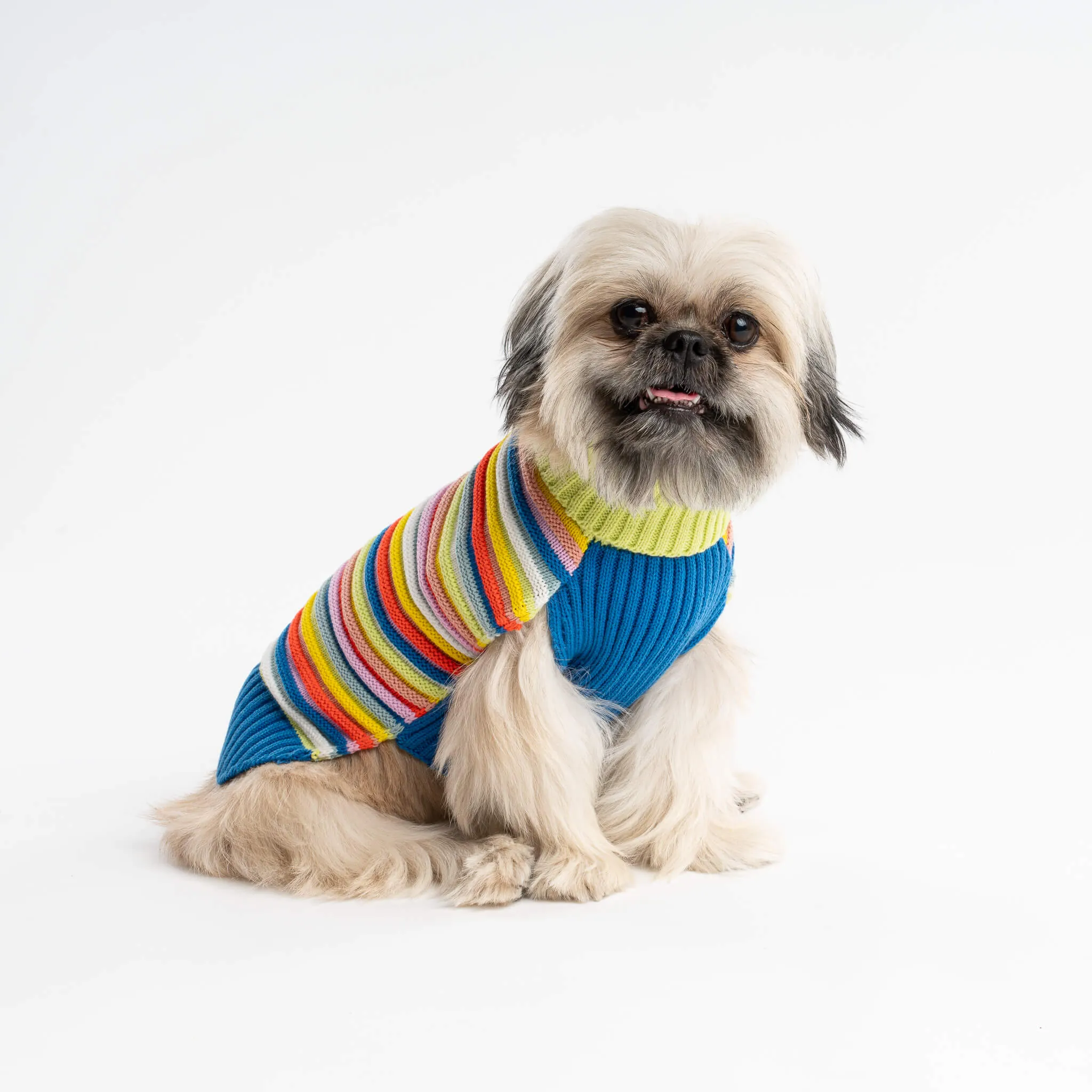 Circus Stripe Dog Sweater