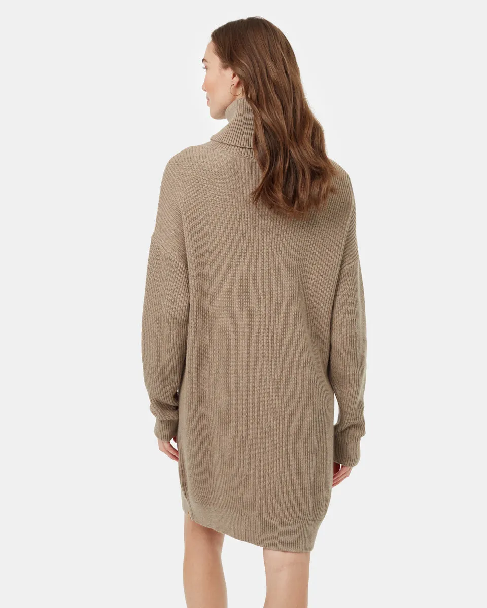 Highline Oversized Turtleneck Dress