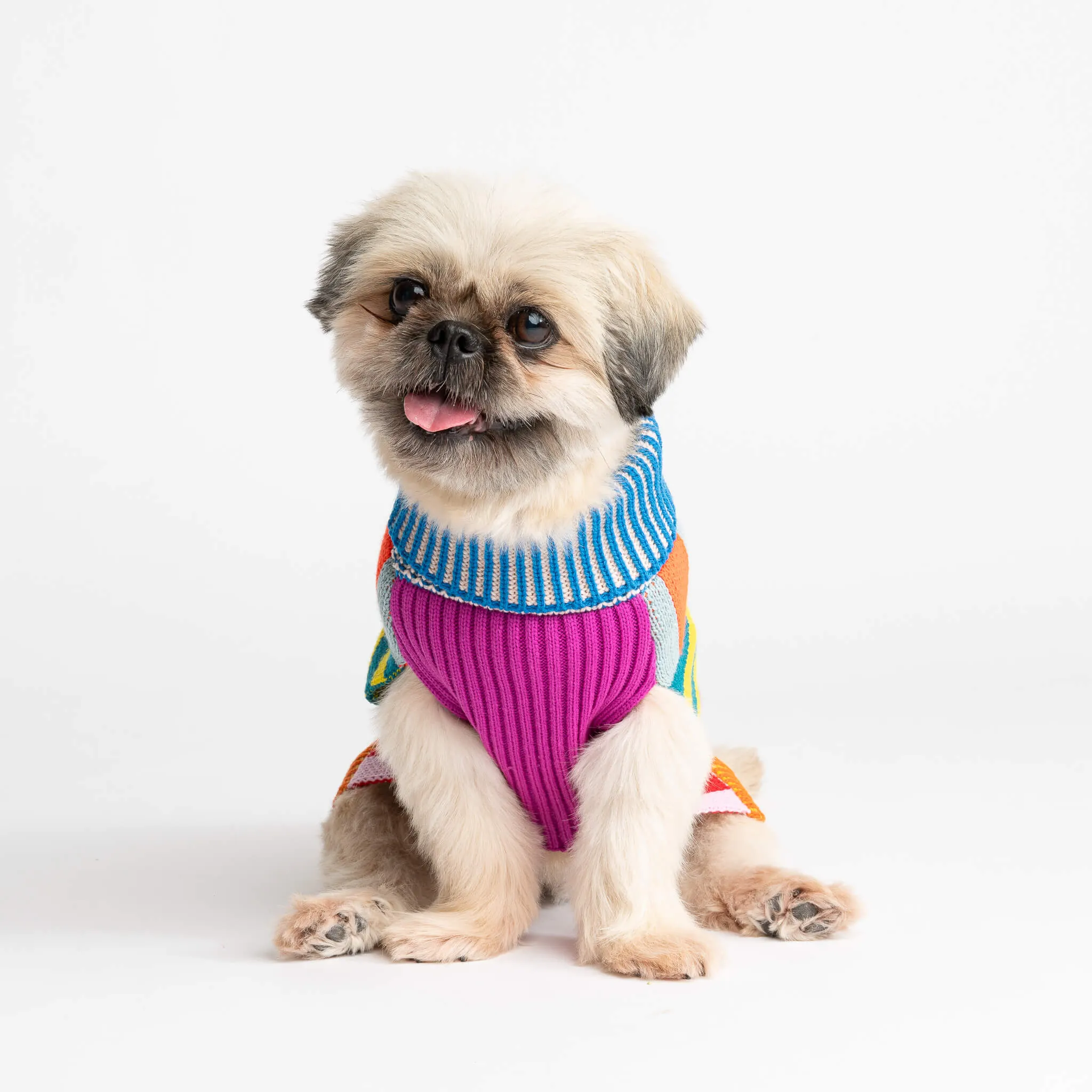 Pattern Patch Dog Sweater