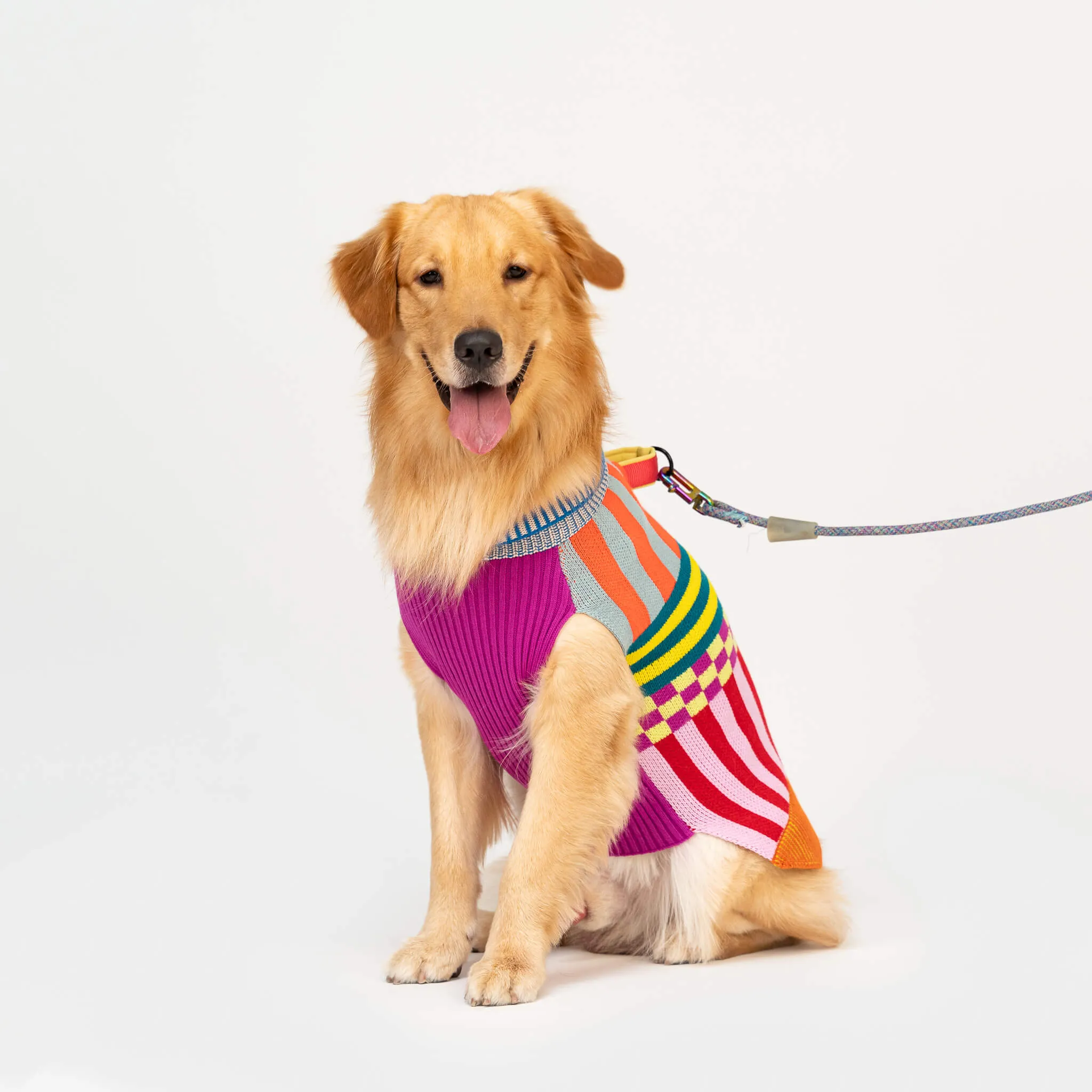 Pattern Patch Dog Sweater
