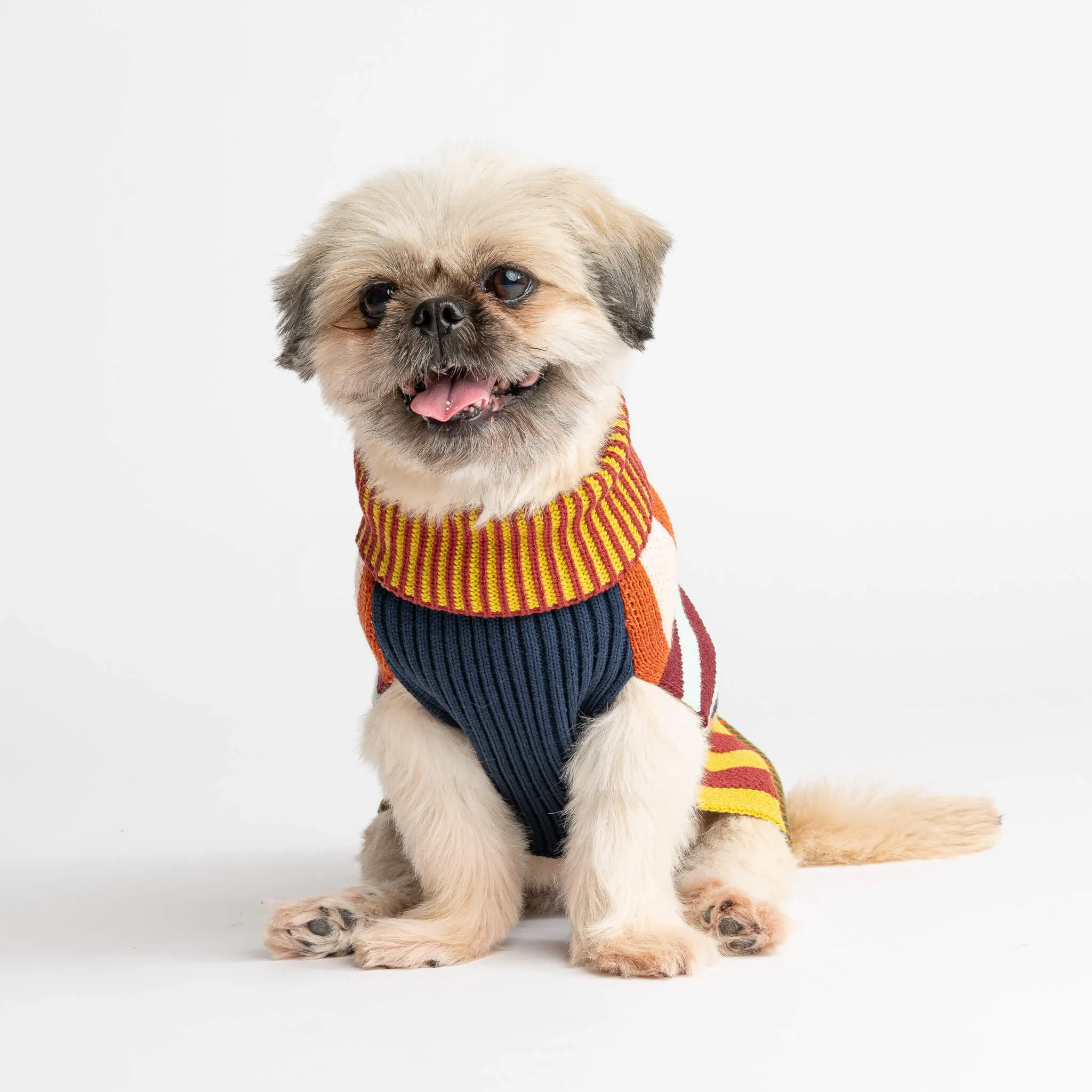 Pattern Patch Dog Sweater