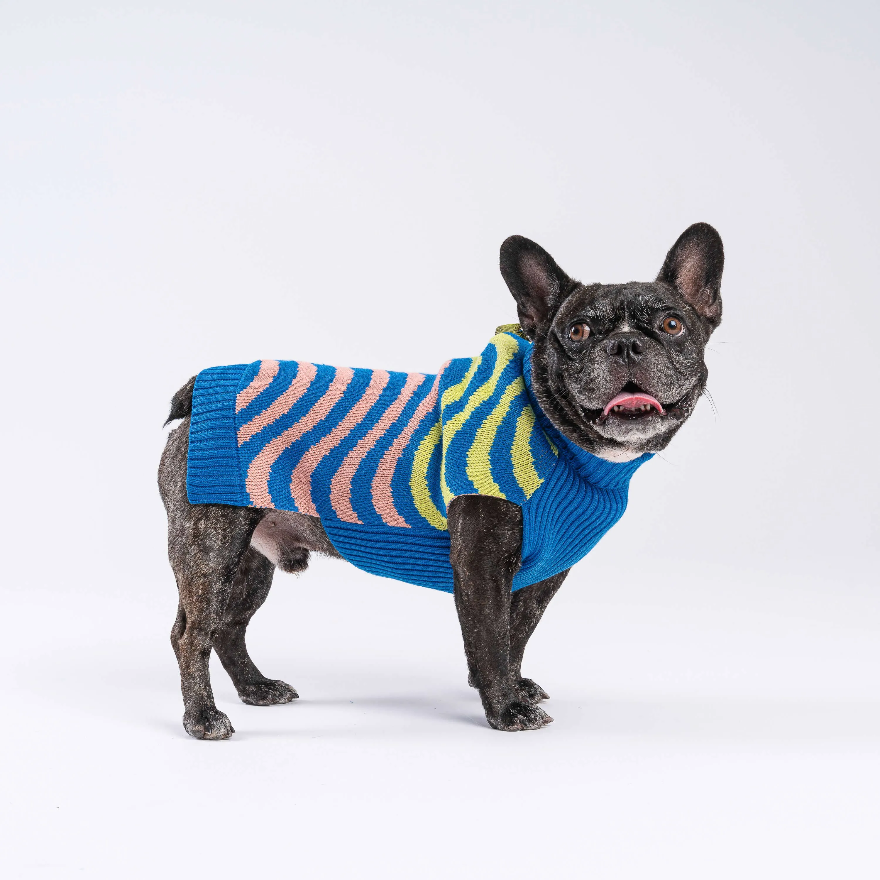 SALE Sound Wave Dog Sweater