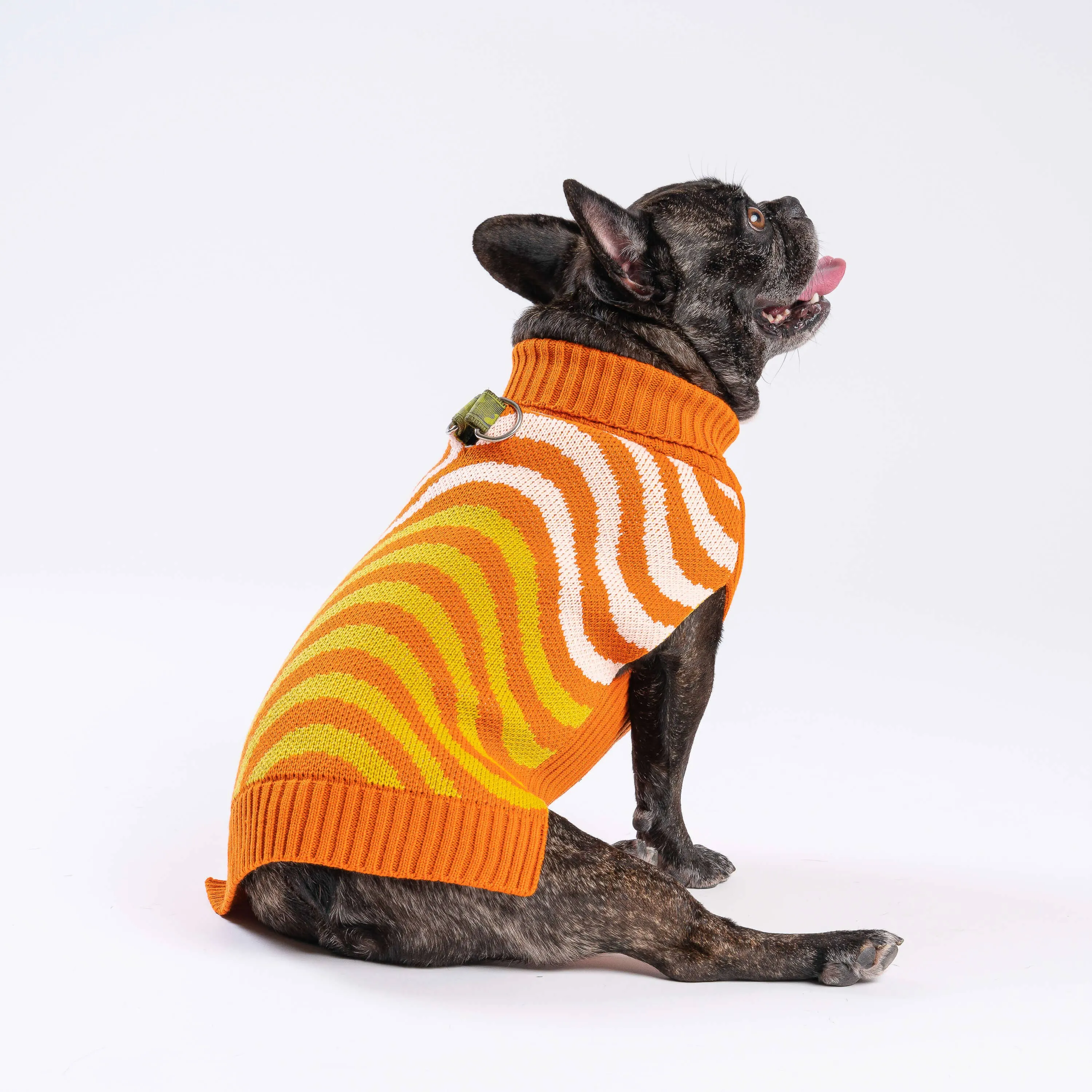 SALE Sound Wave Dog Sweater
