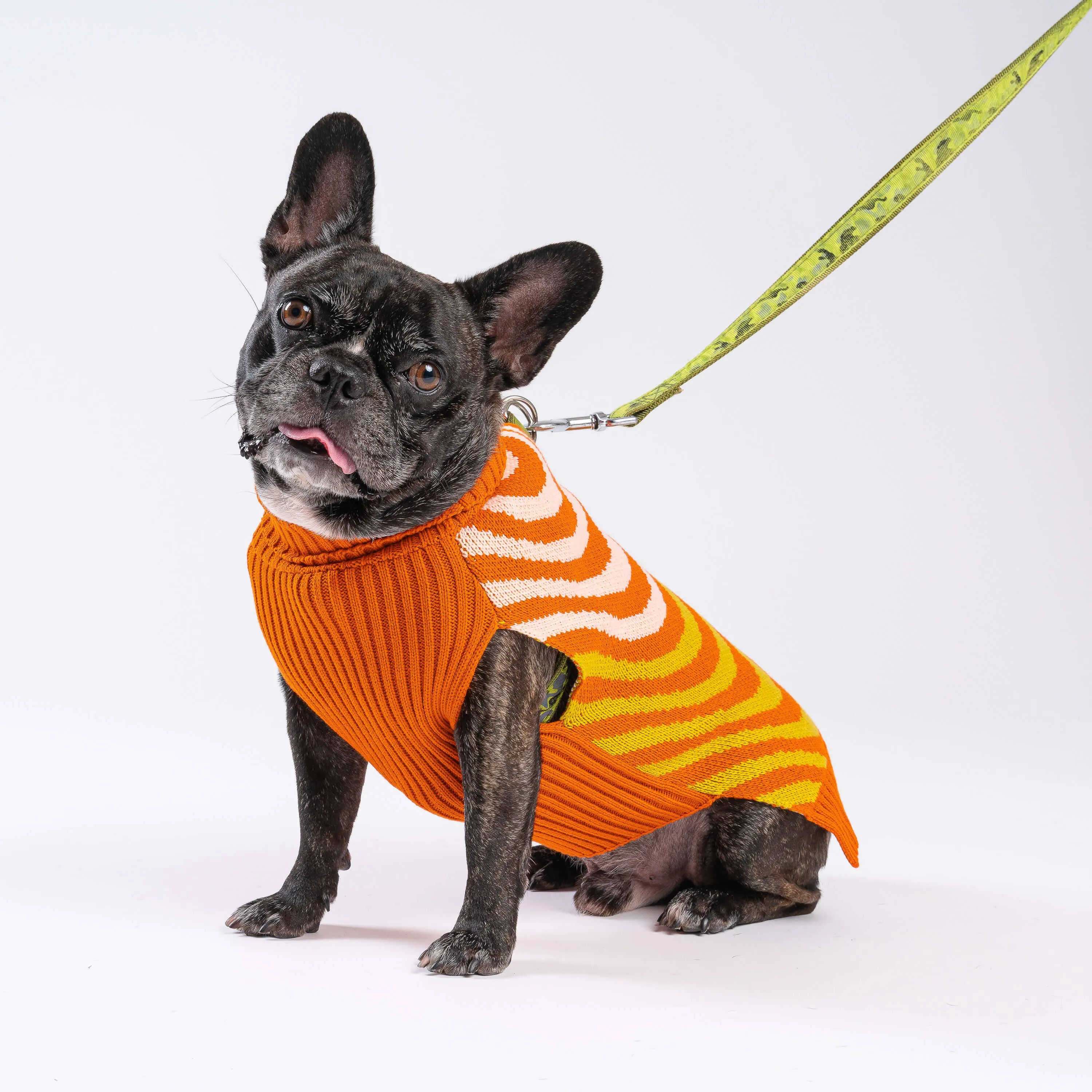SALE Sound Wave Dog Sweater