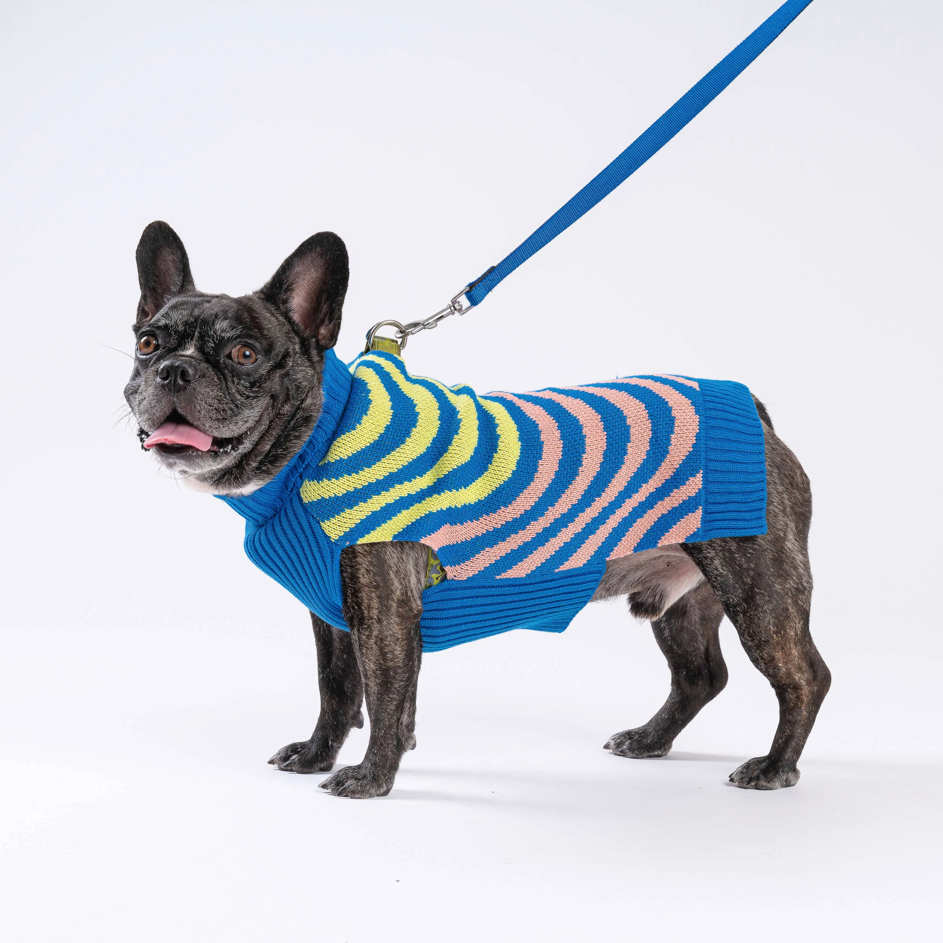 SALE Sound Wave Dog Sweater