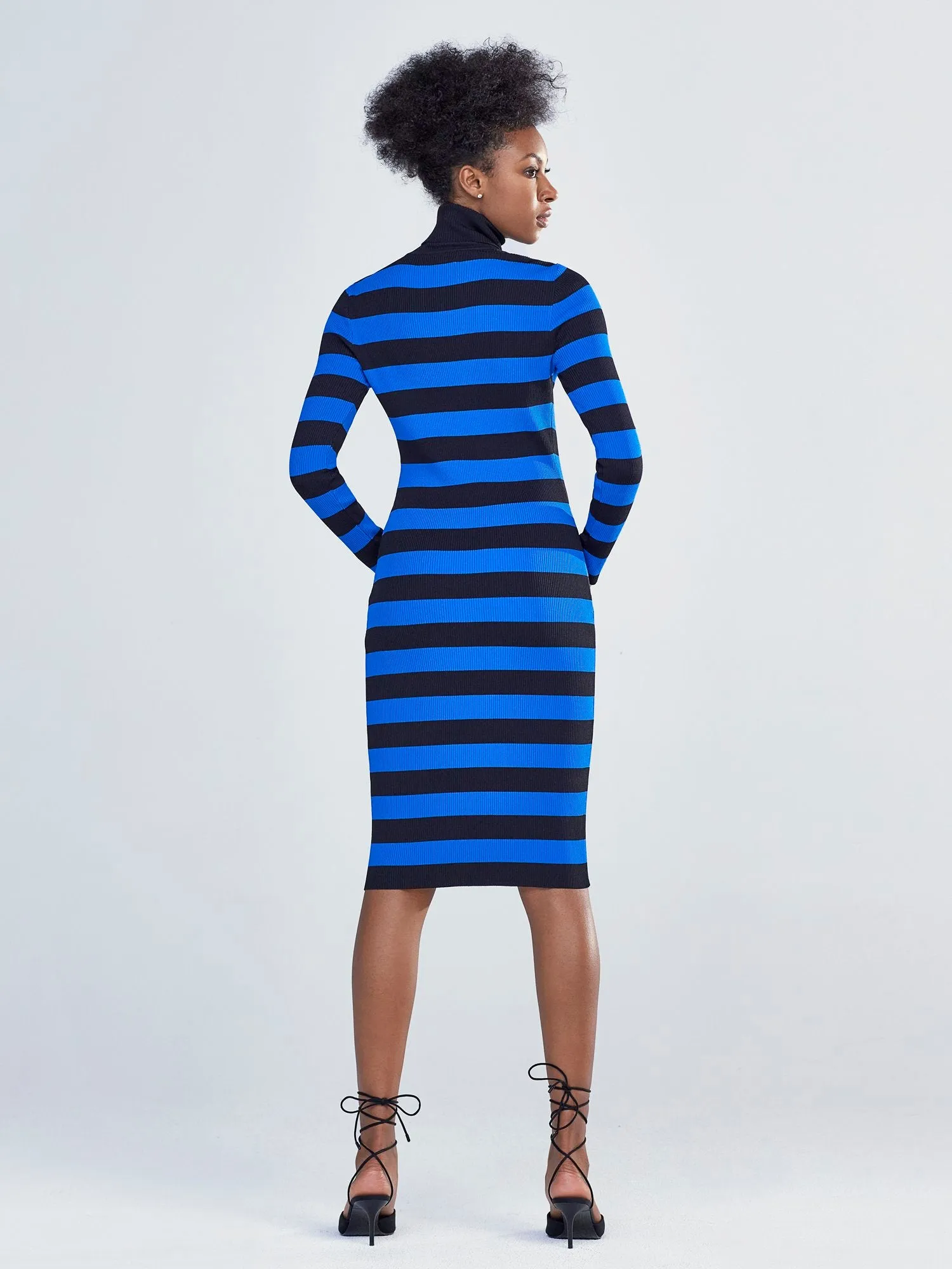 Stripe Turtleneck Dress